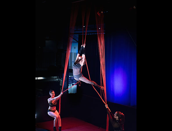 Aerialists Brisbane - Trapeze Artists - Aerial Entertainment Performers